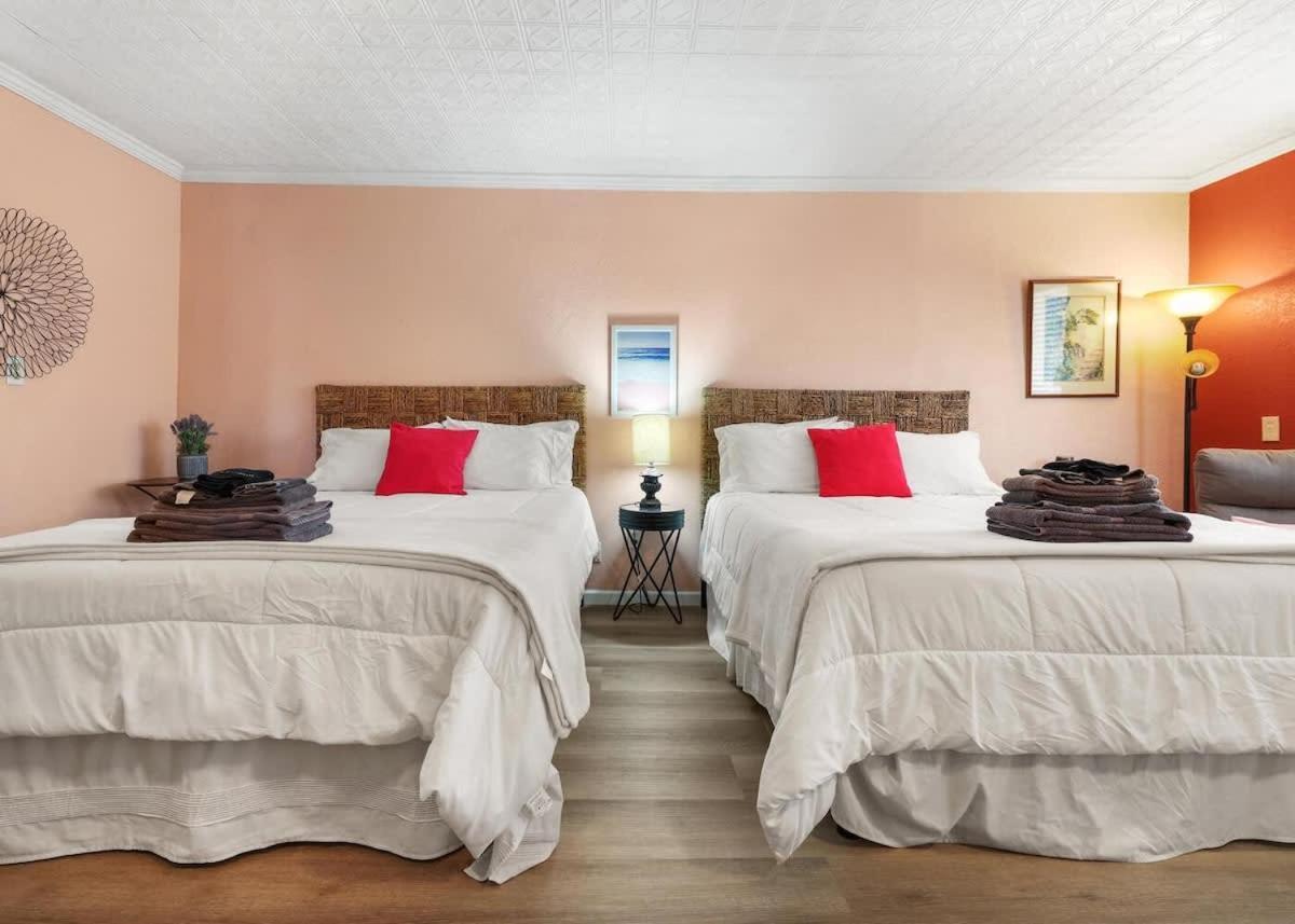 Cozy Apt-sequoia Parks Coast Wineries Skiing-all Day Trips Apartment