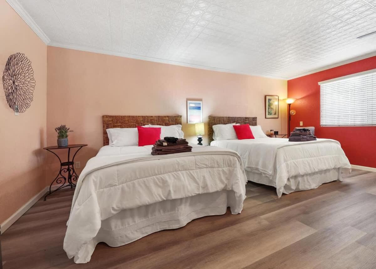 Cozy Apt-sequoia Parks Coast Wineries Skiing-all Day Trips Apartment Visalia