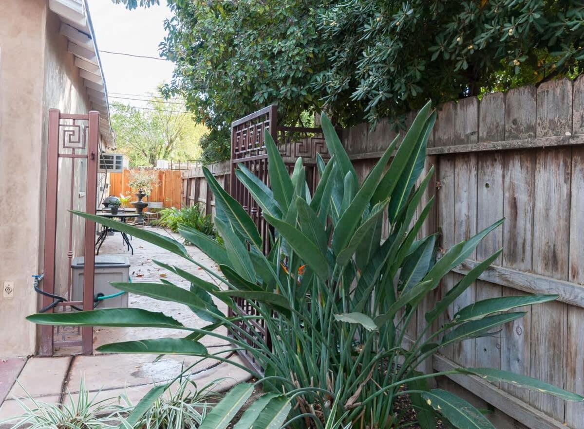 Cozy Apt-sequoia Parks Coast Wineries Skiing-all Day Trips Apartment Visalia